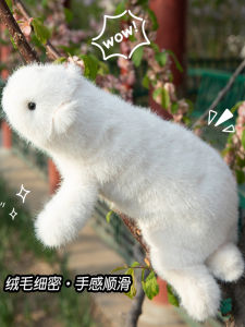 Đồ Chơi Búp Bê Thỏ Angora Bằng Vải Nhung Nhân Vật Dễ Thương Cho Trẻ Em Quà Tặng Sinh Nhật Đồ Trang Trí Đầu Giường Đồ Chơi Bằng Vải PP Cotton