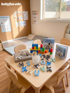 babyfun.edu | Silicone Sensory Basin Accessories Educational Toys