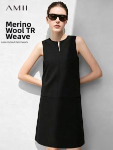 AMII | Elegant Commuter Style Lace Sleeveless Dress