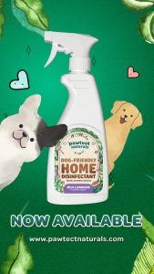 Pawtect Naturals Pet Safe Home Deodorizer Disinfectant (LAVENDER) Spray Bottle 500ML Multipurpose Cleaner Deodorizer Odor Eliminator