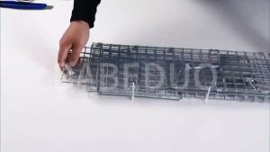 Large Foldable Animal Trap | Humane 1-Door Cage for Rats/Cats/Dogs | Heavy Duty & Reusable