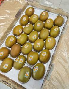 Zespri SunGold Kiwi Fresh Golden Kiwi Fruit (Super Sweet & Juiciness) [Rich in Vitamin C / Immunity Boost] Direct Air-Flown Freshness