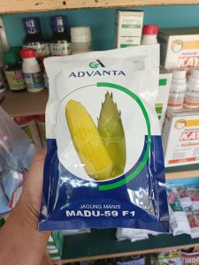 Benih Jagung Manis Madu-59 F1 Advanta isi 250 gram