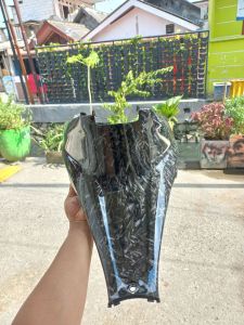 cover tanki skywave karbon forget