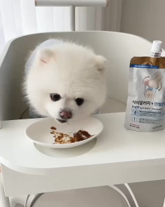 [80g] PETPEDIA TREAT ME BÁNH THƯỞNG GIẢM STRESS & TĂNG CƯỜNG MIỄN DỊCH CHO THÚ CƯNG