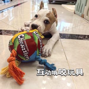 Doglemi Rainbow Twist Dog Toy Chew Resistant Pet Teeth Grinding Sound Making Dog Toys Universal Pet Supplies Dog Toys