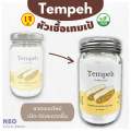 หัวเชื้อเทมเป้ ผงหัวเชื้อเทมเป้ 100 กรัม Tempeh Starter 100g l เทมเป้ เตมเป ถั่วเหลืองหมัก สำหรับคนกินมังสวิรัติ กินเจ. 