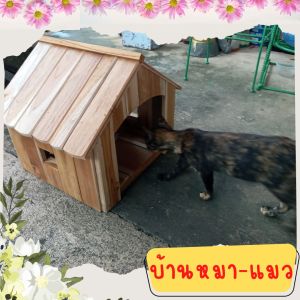 บ้านหมา บ้านแมว เหมียว บ้านไม้นก บ้านน้อง สำหรับ สุนัข แมว นก หนู กระรอก ชูก้า ไกรเดอร์ นกหงษ์หยก ทำจากไม้สักทอง สวยแข็งแรง ขนาด 42x36x35cm