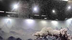 Snowflake remote control 1500wsnowflake indoor and outdoor snow sprayer Christmas romance