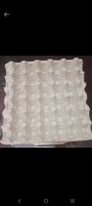 TRAY TELUR/TATAKAN TELUR AYAM ATAU BEBEK BEKAS