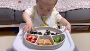 Khay Ăn Dặm BLW Silicon bạch kim cao cấp Modui Bluemama Chính Hãng- 4 ngăn Đế Hít Kháng Khuẩn