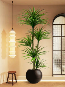 LIANYOU | High-end Imitation Dracaena  Flower