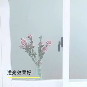 Window Mesh Curtain Anti Mosquito Fly Insect Mesh Cover Dustproof Window Net Tape Screen Curtain