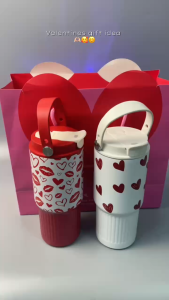 750ml 316 Stainless Steel Tumbler Straw Cup with Handle Water Bottle Gift Set for Valentines Day