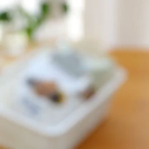 10pcs Sealed Clip Portable large Kitchen Storage Food Snack Seal Food Storage Sealing Bag Clips