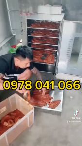 Tủ sấy thuốc thảo dược trái cây nông sản các loại 20 khay INox