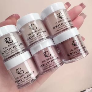 6Pcs/Set Nude Red Brown Pink Nail Acrylic Powder Professional Dipping Crystal Powder for Nail Art Extension/Carving Pigment Dust