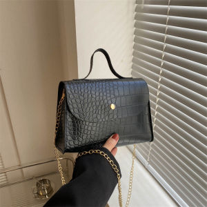 Advanced Texture Special-Interest Design Retro Small Handbags Womens 2023 New Arrival Trendy Versatile Chain Shoulder Messenger Bag