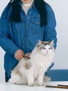 Pet Hair Comb Cat Dog Fur Remover Grooming Brush Wooden Handle Flea Comb Sikat Bulu Kucing Berus Sisir Kutu 猫梳子