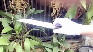 Cặp dao thái gọt Nhật akatenki dài 30cm dày 2.5mm rất sắc bén