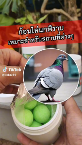 10,000 m² ไม่มีเนื้อนกฎไล่นกพิราบถาวร ไล่นก ที่ไล่นกพิลาบ อุปกรณ์ไล่นก ประสิทธิภาพ ผลลัพธ์ที่ยั่งยืน ปลอดภัยและปลอดสารพิษ ไม่เป็นอันตรายต่อสัตว์เลี้ยงและคน ไล่นกได้ผลดี ไล่นกพิราบ ก้อนไล่นกพิราป ก้อนไล่นก ก้อนไล่นกพิราบ เครื่องไล่นก