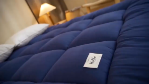 Dreamer Living Multicolor Thicker 9cm Bed Sheet Mattress Tatami Topper Tilam King Matress Feather Velvet Soft Tilam Foldable Matress 床垫