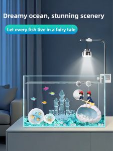 CHONGXIAOSHUAI | Natural Scallop Shell Fish Tank Decorative Ornament Set