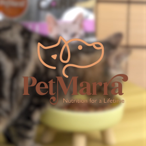 PetMarra Bone Broth for Dogs and Cats Digestive 50g BUNDLE OF 12 - PetMate digistive appetite booster supplement dogs cats digestive all breeds