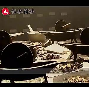 High Quality [ Spot inventory ]  Ren - Haizhong Tang Brand Ginkgo Leaf Pueraria Capsule Nourishing Liver and Protecting Liver Staying up Late 30 Ginkgo Leaf Tablets