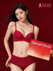 Secret World | Red Small Bust Lifting Underwear Set Gift Box