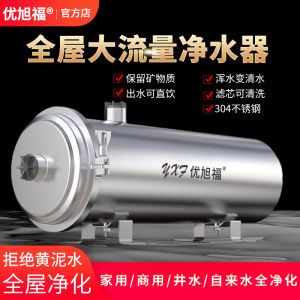 Household Direct Drinking Ultrafiltration Whole House Water Purifier