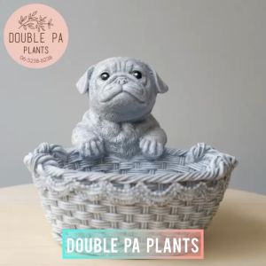 กระถางต้นไม้ปูนเคลือบเงาน้องหมา ตกแต่งสวน-แต่งบ้าน กระถางปูนปั้นเคลือบเงาอย่างดี กระถางน่ารัก