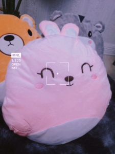 Cute Animal Cushion Pillow With Blanket (3 in 1)