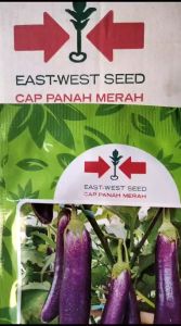 Benih Terong Ungu LAGUNA f1 isi 1100 biji  PANAH MERAH