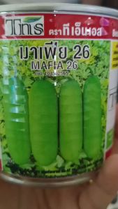 เมล็ดแฟงลูกผสม มาเฟีย26 ผลทรงกระบอก สีเขียวอ่อน ยาว 23-27 ซม หนัก 800-1000 กรัม เก็บเกี่ยวหลังย้ายปลูก 55-60 วัน ขนาดบรรจุ 50 กรัม รับประกันเมล็ดพันธุ์ล็อตใหม่