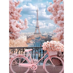 Diamond Painting Eiffel Tower Bicycle Rose Diamond Mosaic Landsacape Complete Kit Craft kit