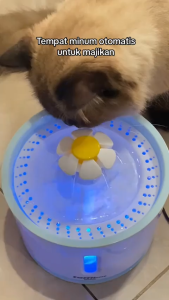 Motion Sensor Dispenser Minum Hewan Kucing / Anjing Water Fountain USB - White