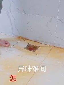 TAOSHI | Electric Pipe Clog Remover