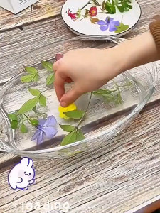 ชุดทำสีพืชด้วยการตีแบบ DIY สำหรับเด็ก พร้อมอุปกรณ์ครบครัน (ค้อนตี+ถุงผ้า+แบบพิมพ์)​