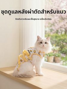 SHENJINGMAO | Post-Surgery Licking Prevention Protection Clothing