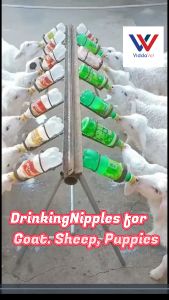 10+1 PCS Pritchard Milk Drinking Nipples for Goats lambs puppies Milk Drink Nipples Soft Rubber for Feeding Sheep Goat