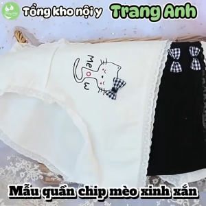 Combo 10 Quần Chip Bé Gái Hoạ Tiết Mèo Xinh Xắn Cotton Cao Cấp Thoáng Mát Mềm Mại Thấm Hút Tốt Quần Cute CTB11