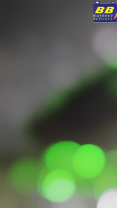 น้ำมันเครื่อง Motul Scooter Expert LE 10W40 ขนาด 0.8 ลิตร ของแท้  สูตรพรีเมี่ยมสำหรับรถจักรยานยนต์เกียร์อัตโนมัติ