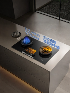 Flame Failure Protection Dual Stove Gas Cooker