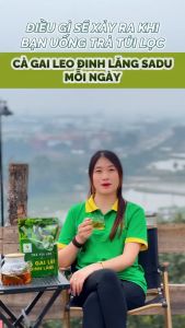 COMBO 2 TÚI Trà túi lọc Cà Gai Leo Đinh Lăng Saduhỗ trợ giải độc gantăng tuần hoàn máu não