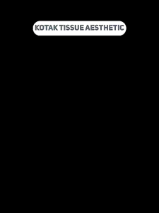 Tempat Tissue Box Transparan Minimalis/ Kotak Tisu Kayu Transparan/ Tempat Tissue Akrilik/ Paula Tissuebox