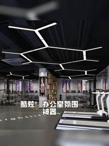 LANGJIAO | LED Hexagonal Industrial Style Pendant Light