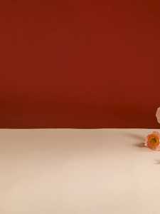 Box Gift Hampers Hidden Hantaran Kotak Hadiah Tertutup Motif Bunga Dengan Mutiara Cantik