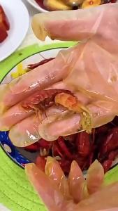 Sarung tangan pakai buang makanan gred 100 PCs ber katering khusus TPE dapur rumah sarung tangan tebal