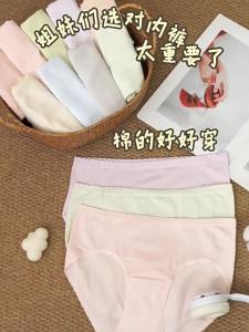 Purcotton | Comfortable Breathable Cotton Womens Underwear 3 Pack